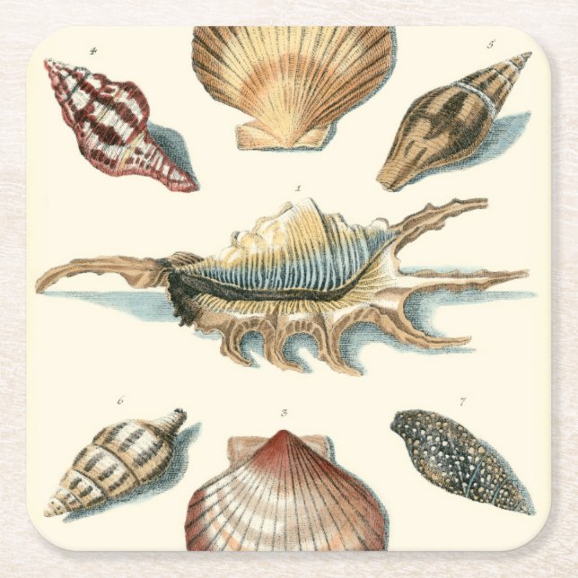 Fancy Shell Beach Square Paper Coaster (Front)