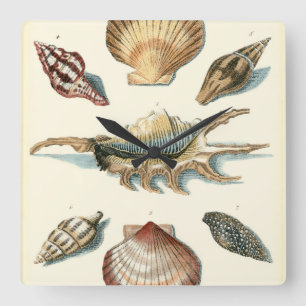 Fancy Shell Beach Square Wall Clock
