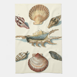 Fancy Shell Beach Tea Towel