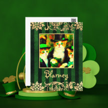 Fancy St Patrick's Day Cats Blarney with Stripes
