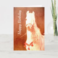 Fancy White Circus Pony Vintage Gypsy Style
