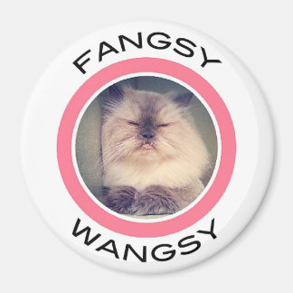 Fangsy magnet