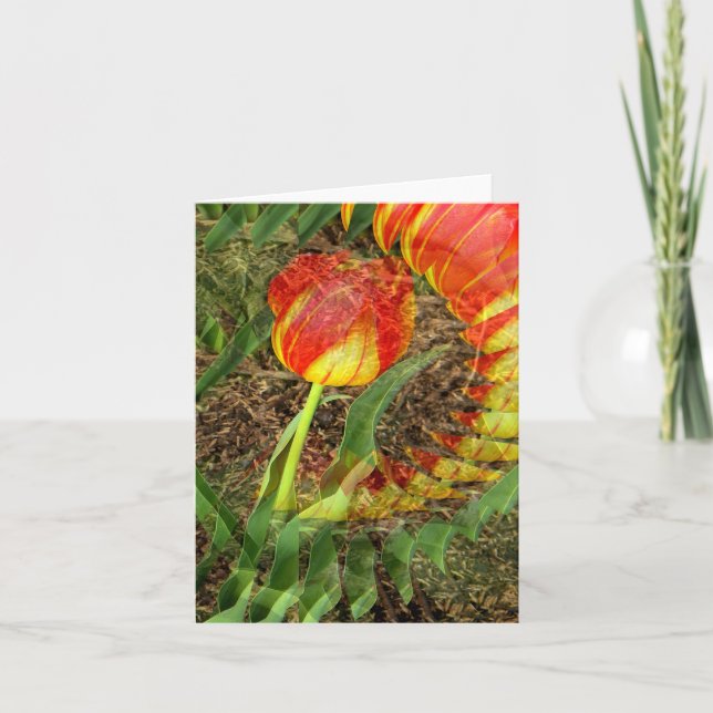 Fanned Tulip...... Card (Front)