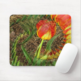 Fanned Tulip....... Mouse Pad
