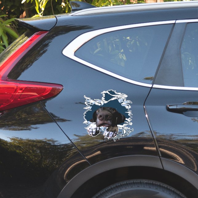 Fanny dog face (Car Side)