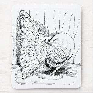 Fantail 1978 Saddle Mouse Pad