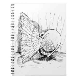 Fantail 1978 Saddle Notebook