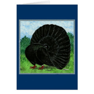 Fantail: Black