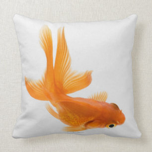 Fantail goldfish (Carassius auratus) 2 Cushion
