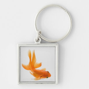 Fantail goldfish (Carassius auratus) 2 Key Ring