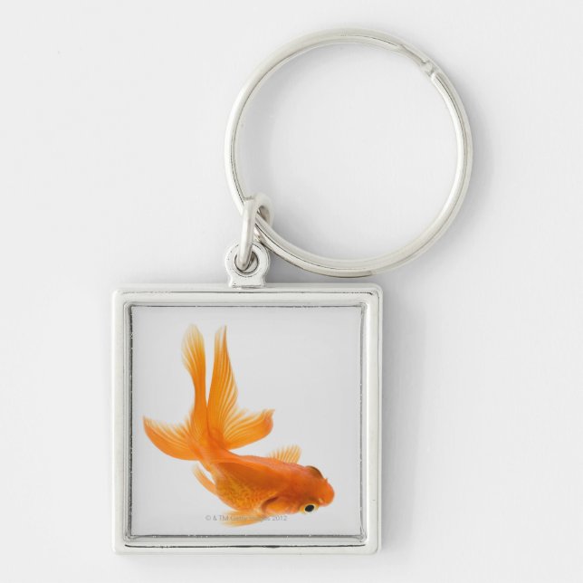 Fantail goldfish (Carassius auratus) 2 Key Ring (Front)