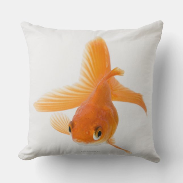 Fantail goldfish (Carassius auratus) Cushion (Front)