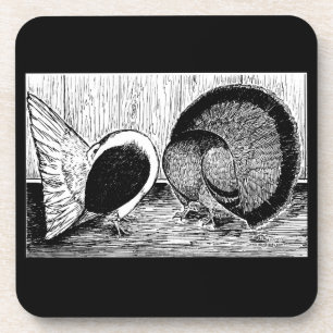 Fantail Pair Coaster