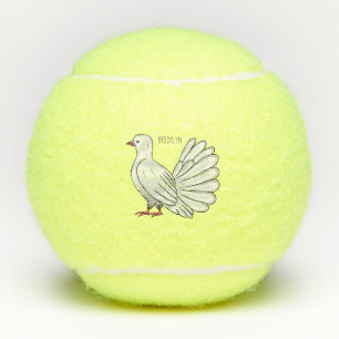 Fantail pigeon bird cartoon illustration tennis balls