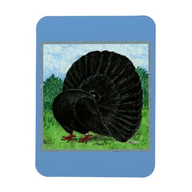 Fantail Pigeon Black Magnet (Vertical)