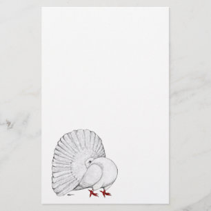 Fantail Pigeon White