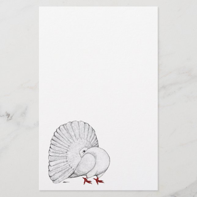 Fantail Pigeon White (Front)