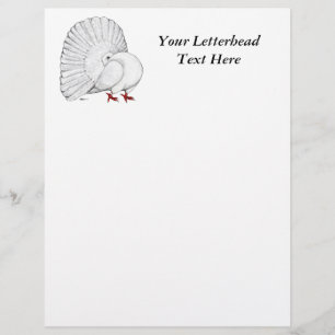Fantail Pigeon White
