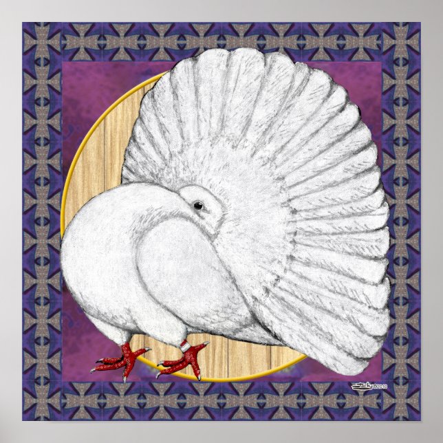 Fantail Pigeon  White With Background Poster (Front)