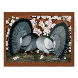 Fantail Pigeons Matched Pair