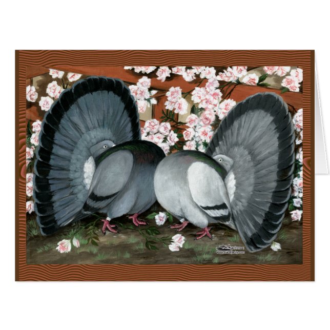 Fantail Pigeons Matched Pair (Front Horizontal)