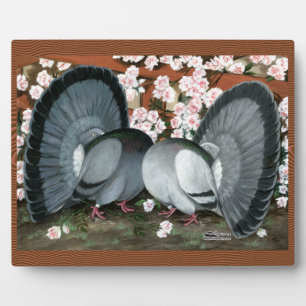 Fantail Pigeons Matched Pair Plaque