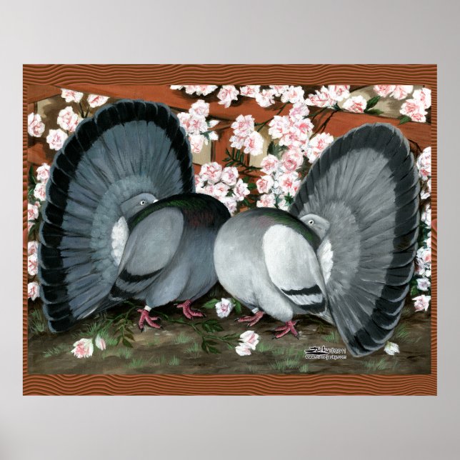 Fantail Pigeons Matched Pair Poster (Front)