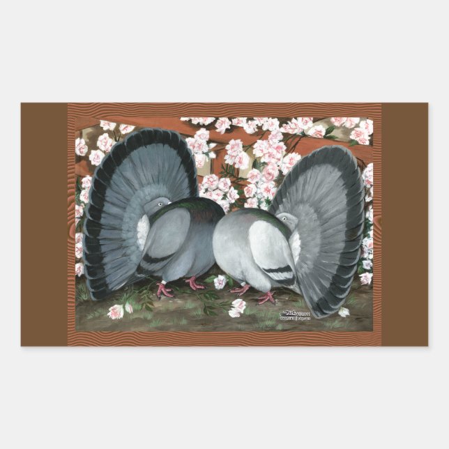 Fantail Pigeons Matched Pair Rectangular Sticker (Front)