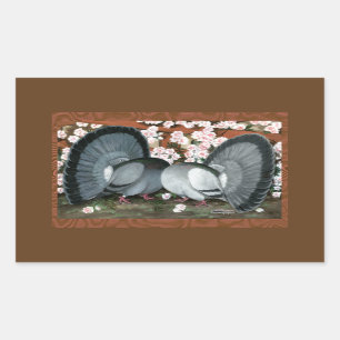Fantail Pigeons Matched Pair Rectangular Sticker