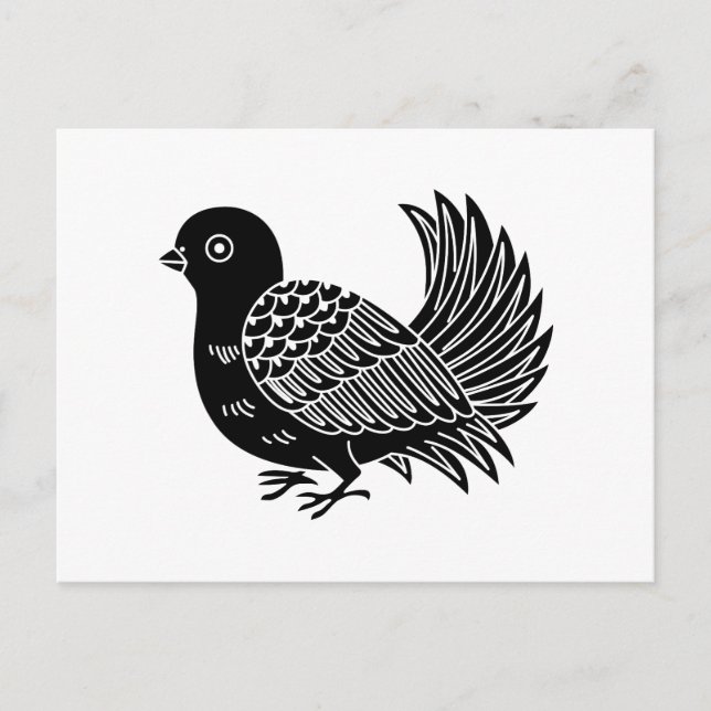 Fantail Postcard (Front)