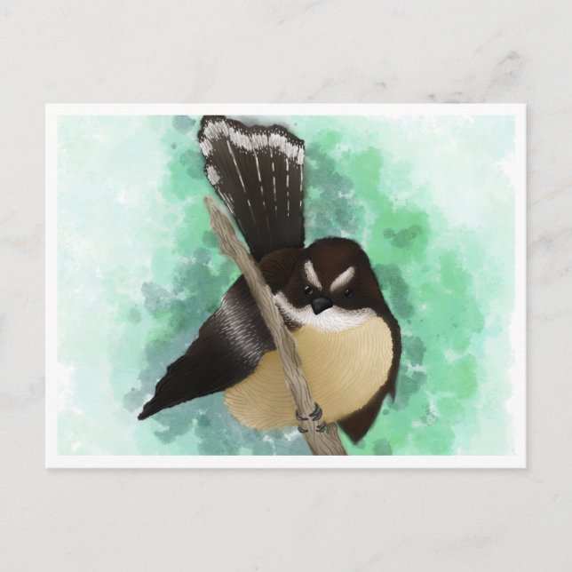 Fantail Water Color Digital Art Postcard (Front)