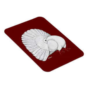 Fantail: White Magnet
