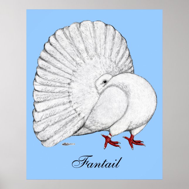 Fantail:  White Poster (Front)