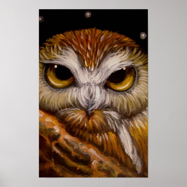 FANTASE SAW-WHET OWL Poster (Front)