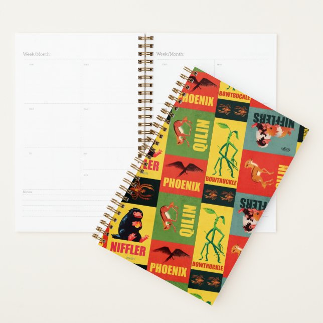 Fantastic Beasts Vintage Pattern Planner (Display)