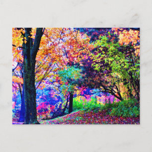 Fantastic Fall Colours Autumn Leaves Trees Scenic Postcard