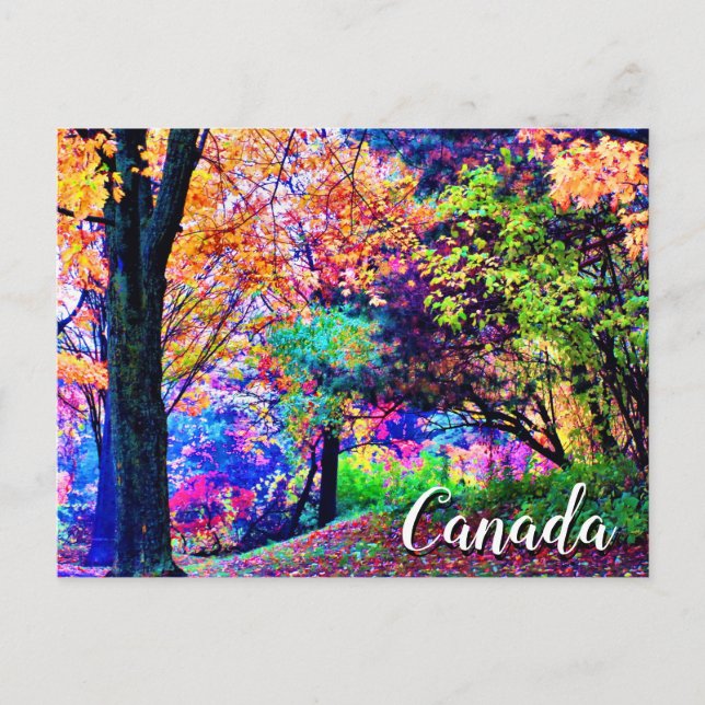 Fantastic Fall Colours Autumn Leaves Trees Scenic Postcard (Front)