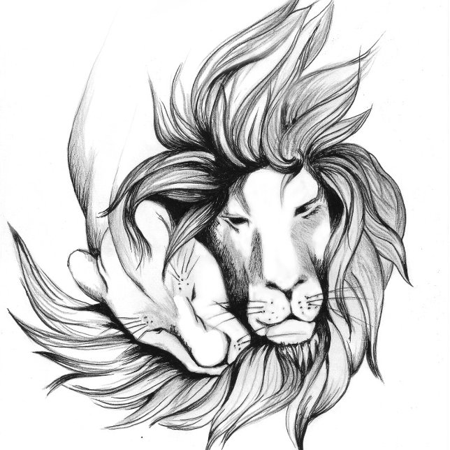 Fantasy abstractive butterfly   Flip Flops (Creator Uploaded)