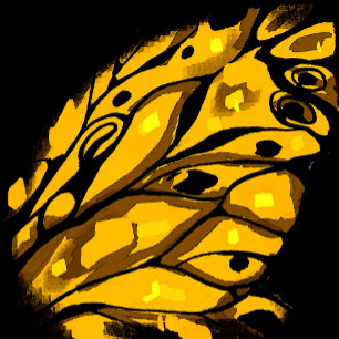Fantasy abstractive butterfly Flip Flops