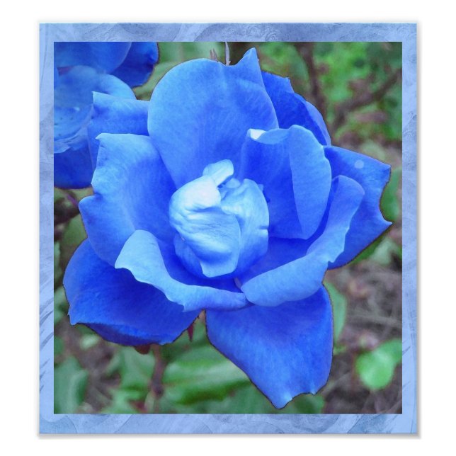 Fantasy Blue Rose Digital Print Wall Art (Front)