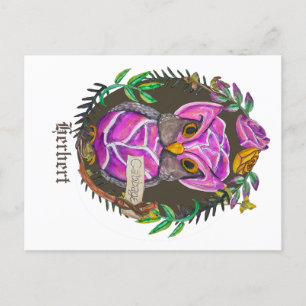 Fantasy cabbage  owl -  cute owl postcard