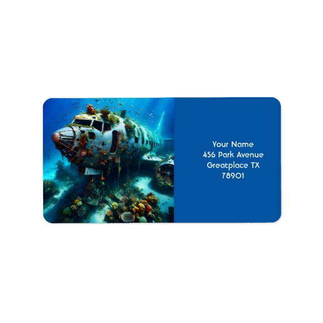 Fantasy Cute Broken Aeroplane Ocean Label (Front)