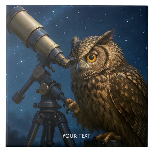 Fantasy Cute Owl Telescope Night  Ceramic Tile (Front)