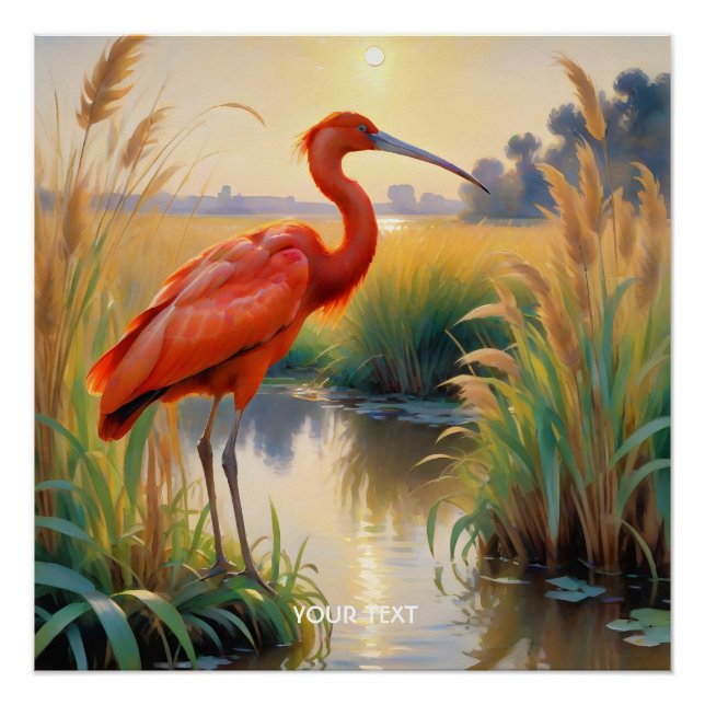 Fantasy Cute Scarlet Ibis Evening Poster (Front)
