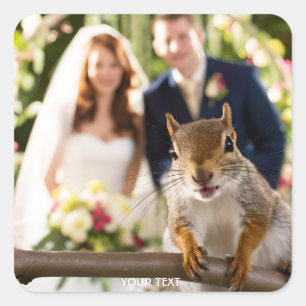 Fantasy Cute Squirrel Married Couple Square Sticker