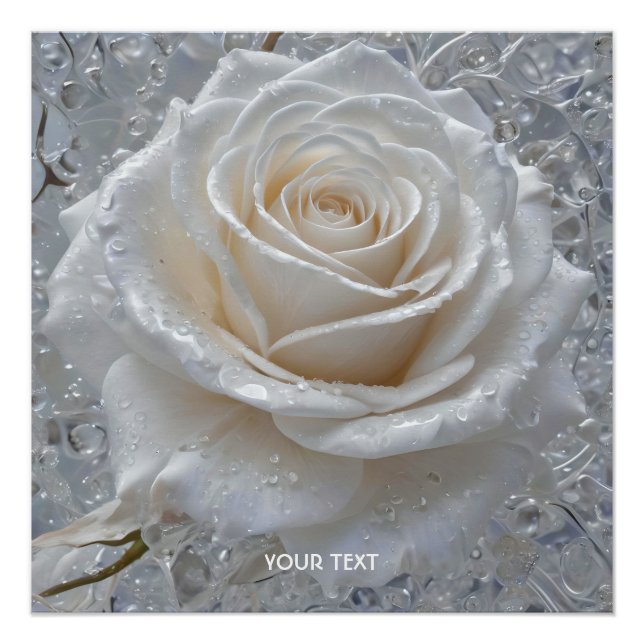 Fantasy Cute White Rose Drops Poster (Front)