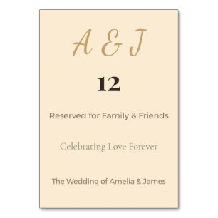 Fantasy Dragon Table Cards Magical Wedding