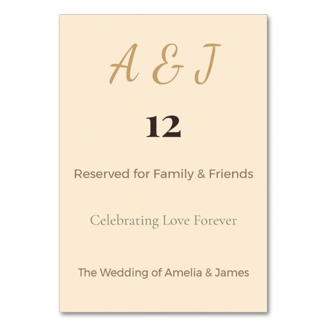 Fantasy Dragon Table Cards | Magical Wedding (Front)