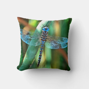 Fantasy Dragonfly In Turquoise and Black Cushion