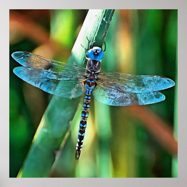 Fantasy Dragonfly In Turquoise and Black Poster (Front)